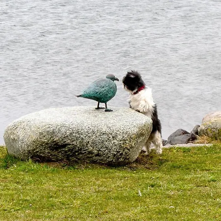 Hausboot Lilla Lina * Femern